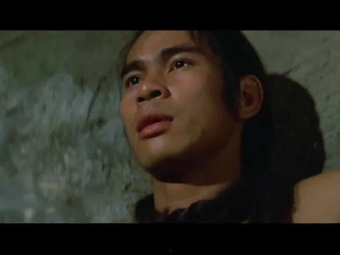 洪熙官在线视频,传奇武林的传奇英雄